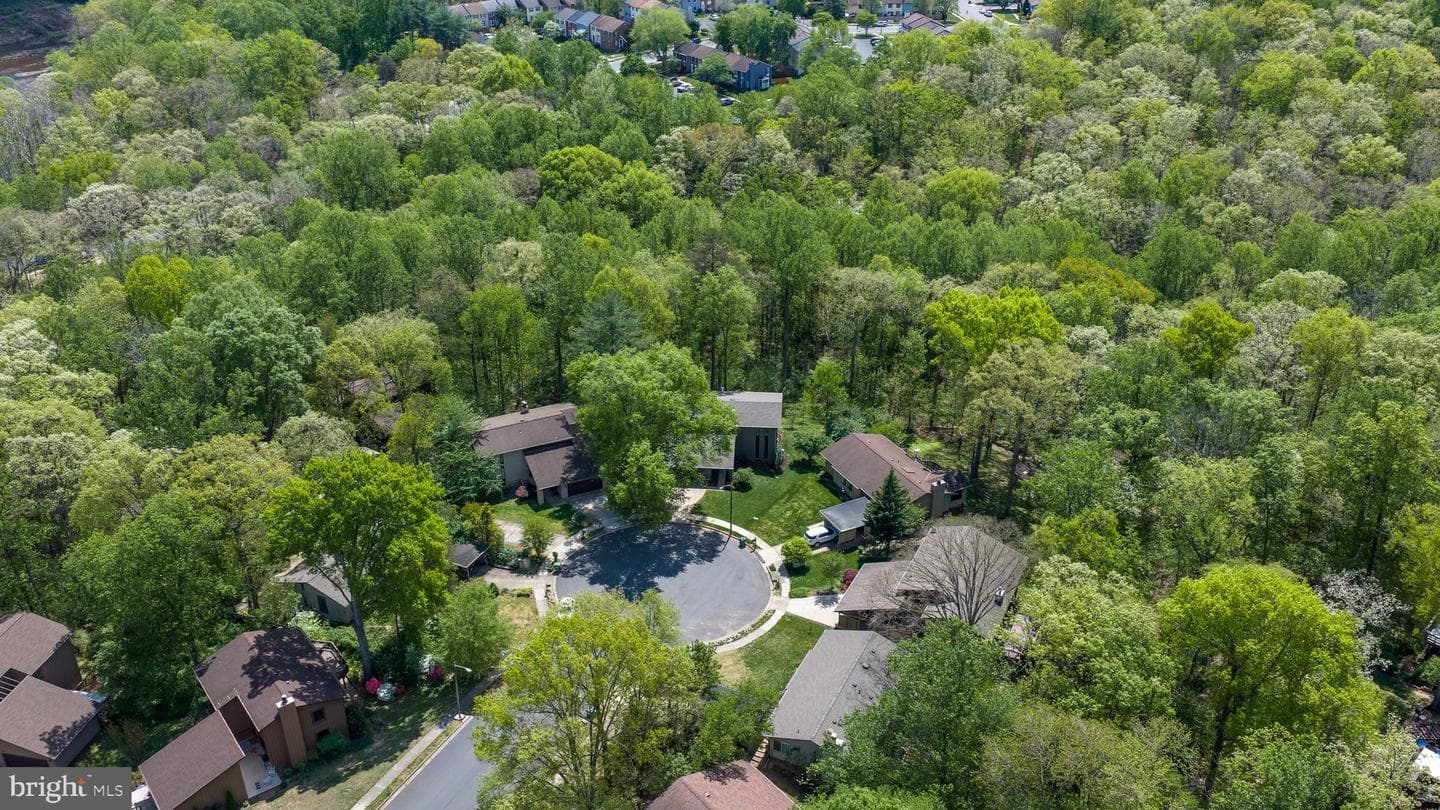 12328 Hollyhock Court photo 67