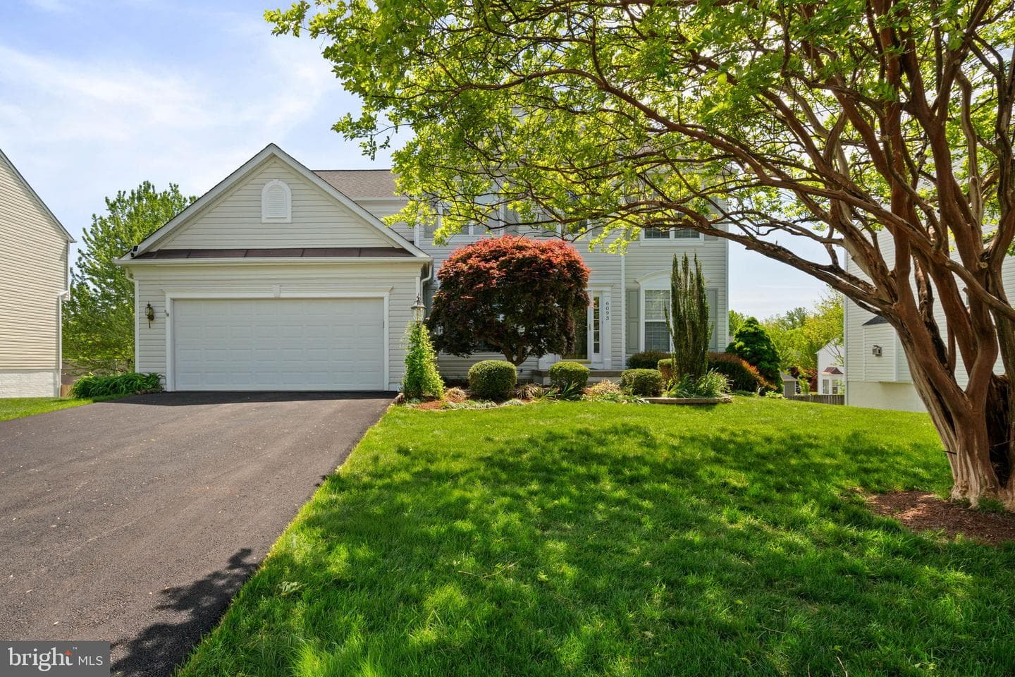 6093 Spindle Tree Court photo 2