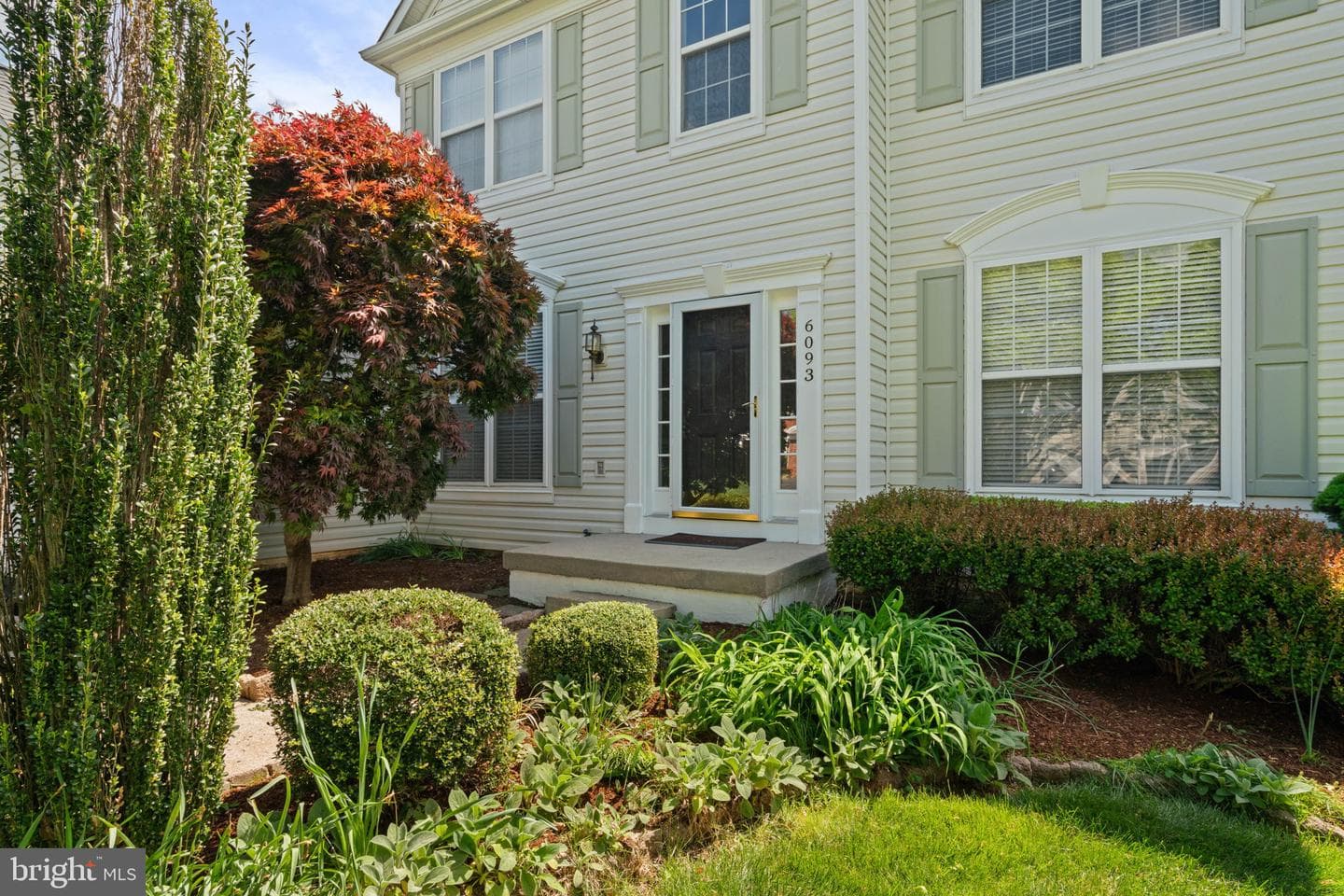 6093 Spindle Tree Court photo 5