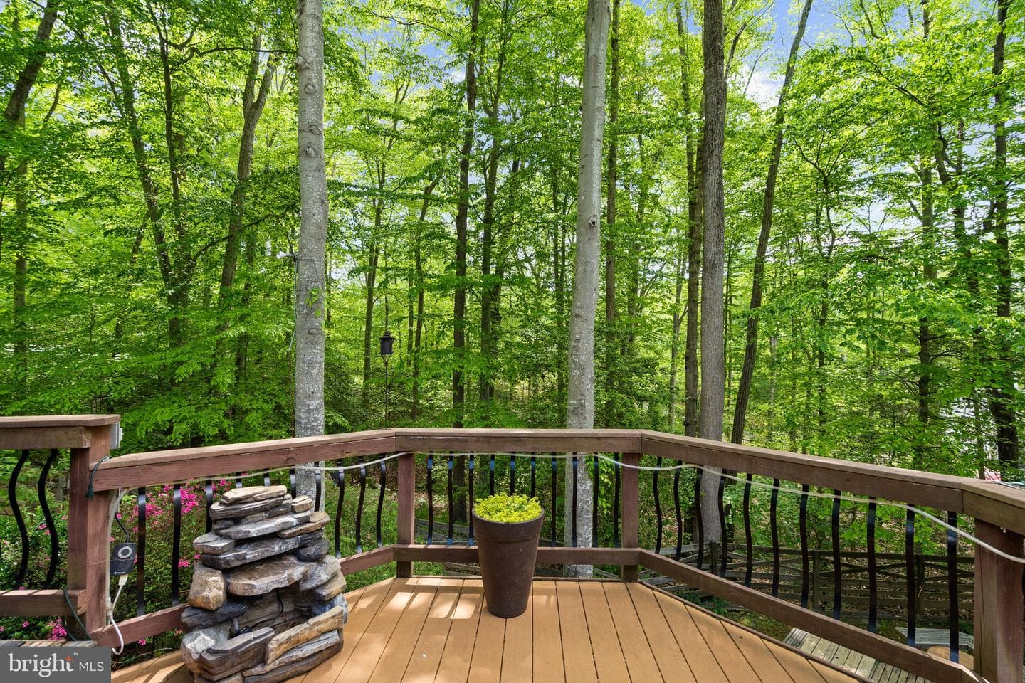 11913 Falling Creek Drive photo 42