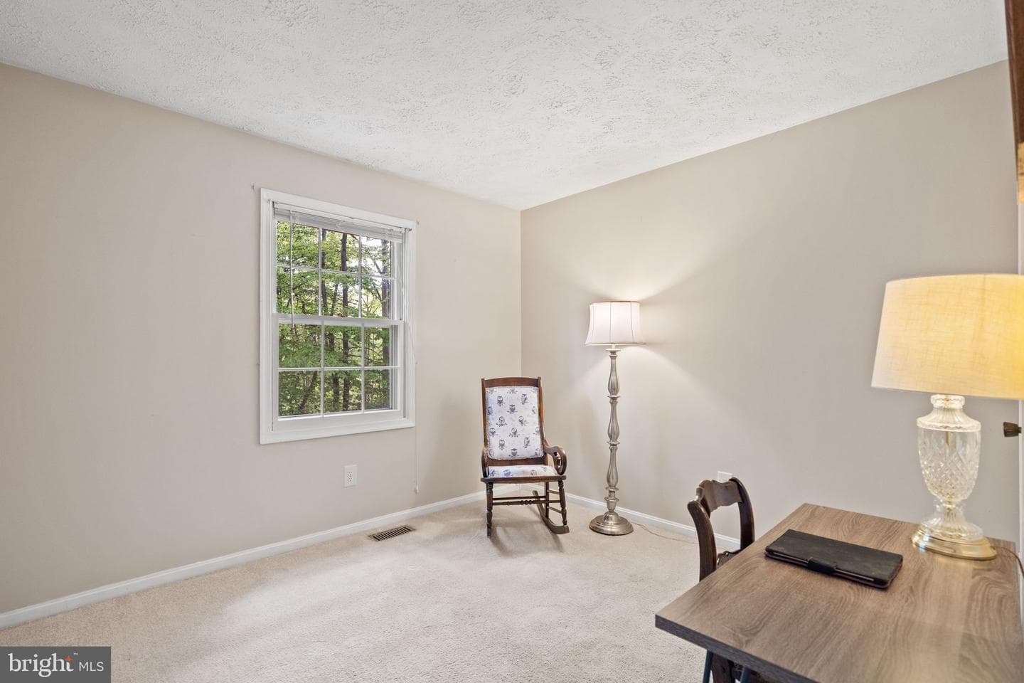 11913 Falling Creek Drive photo 63