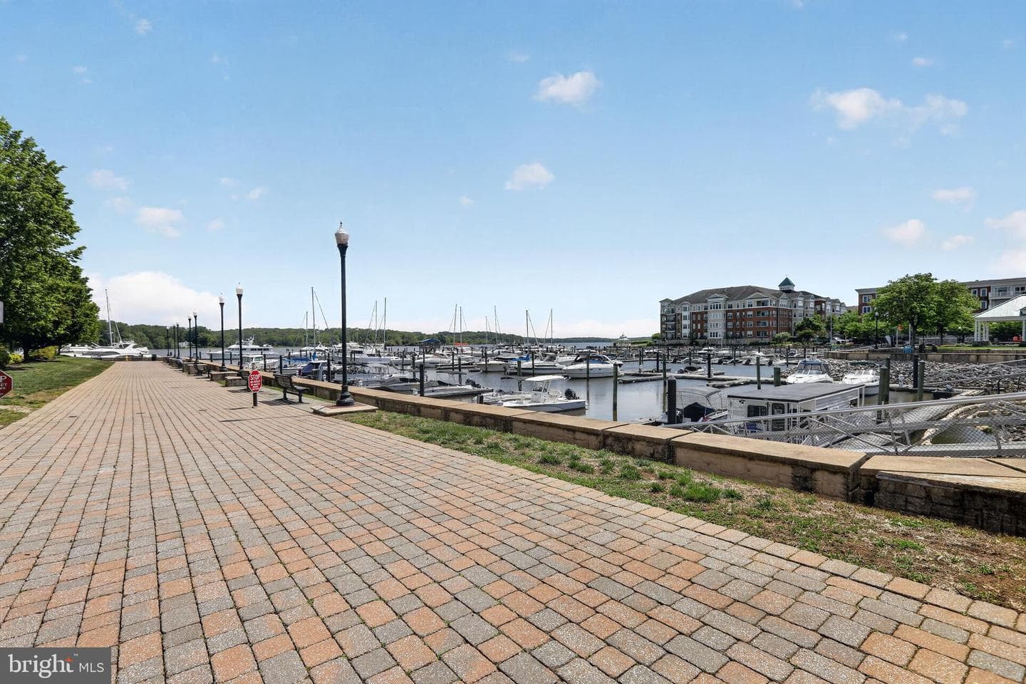 810 Belmont Bay Drive #302 photo 31