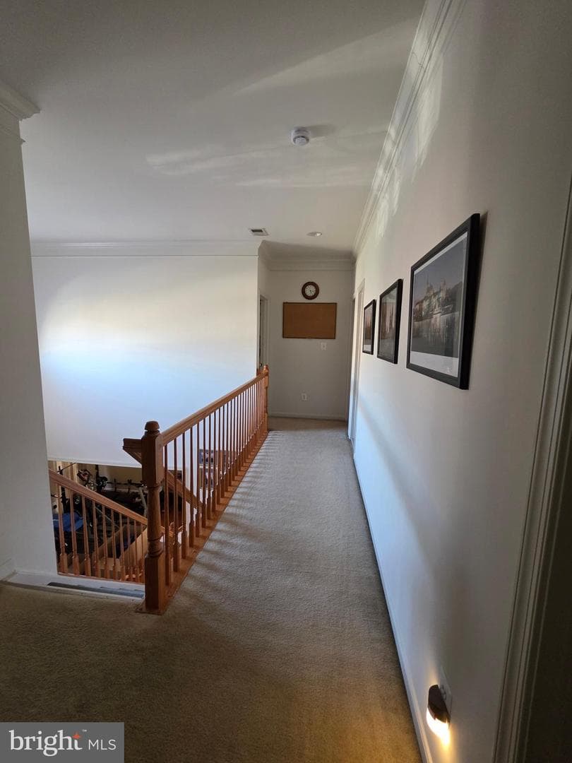 5672 Caribbean Court photo 18