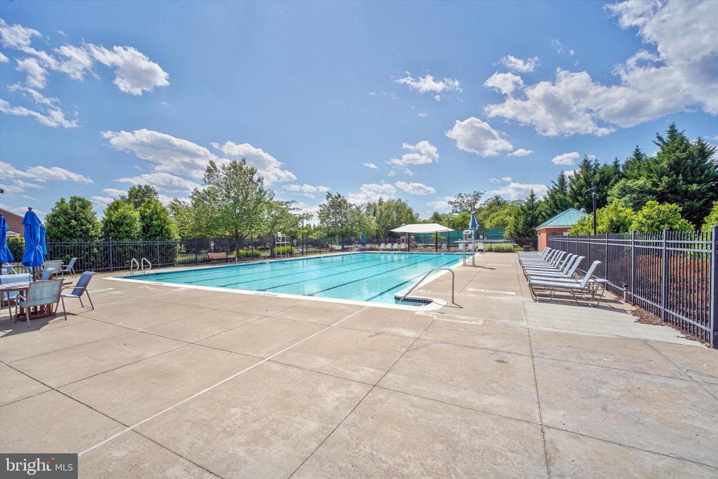 820 Belmont Bay Drive #303 photo 56