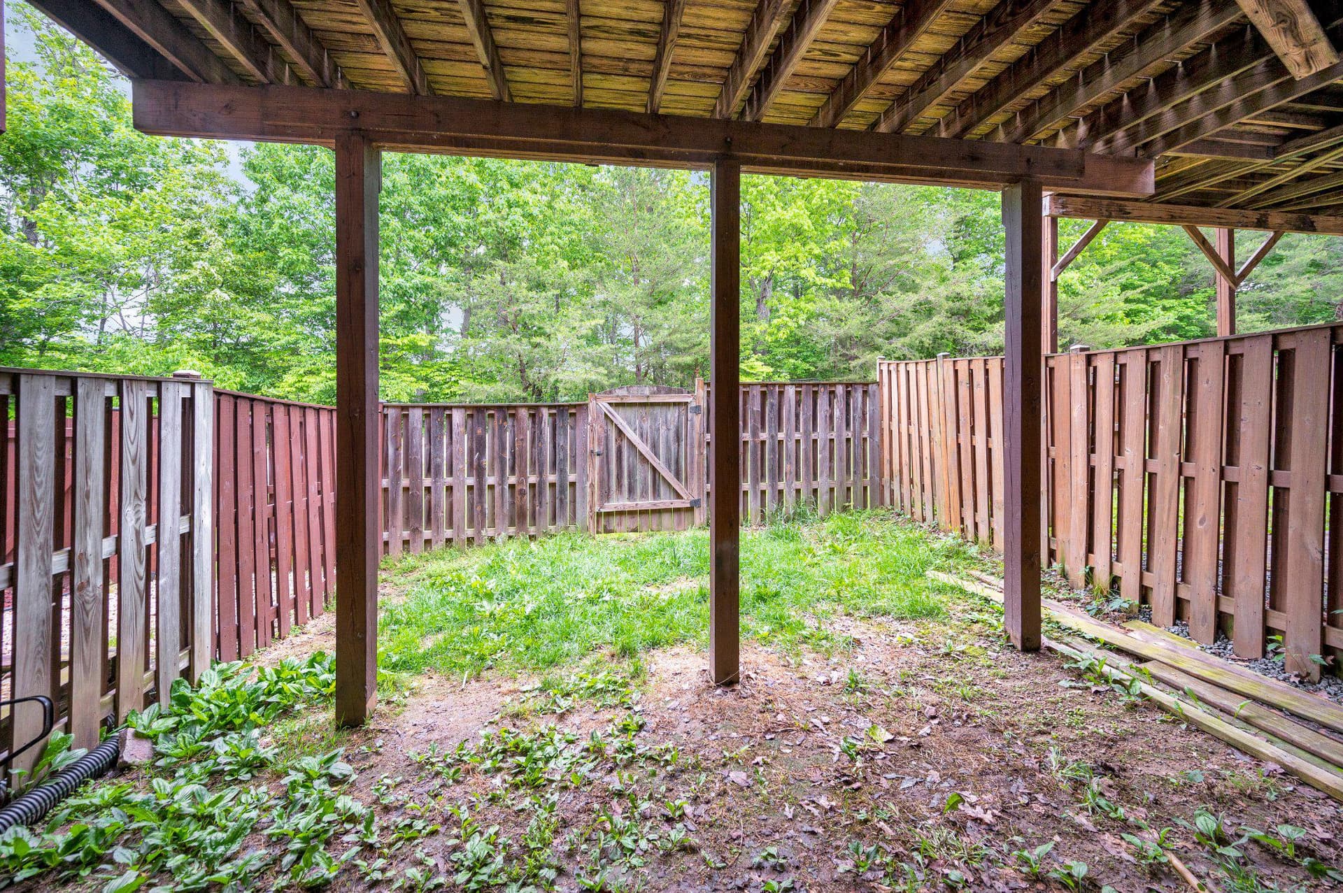 11539 Bertram Street photo 53