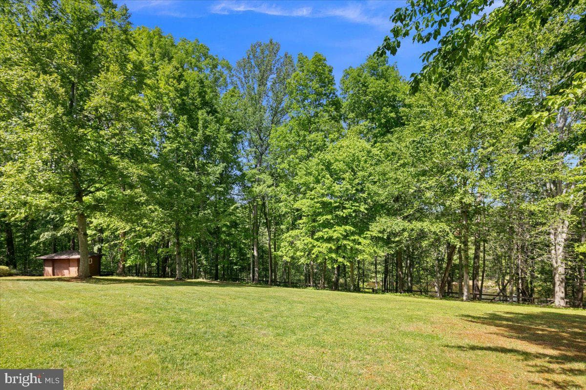 7974 Pinnacle Ridge Drive photo 99