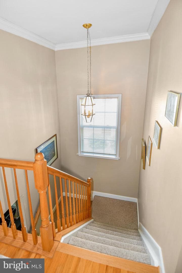 5977 Tapestry Drive photo 20