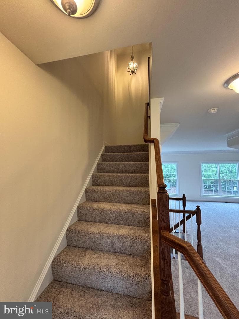 6092 Popes Creek Place photo 10