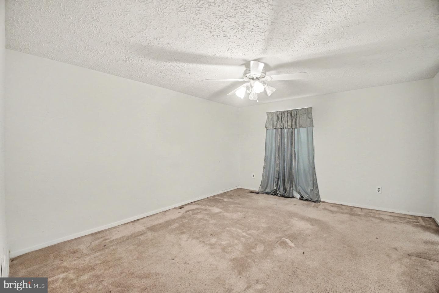16125 Alexander Place photo 14