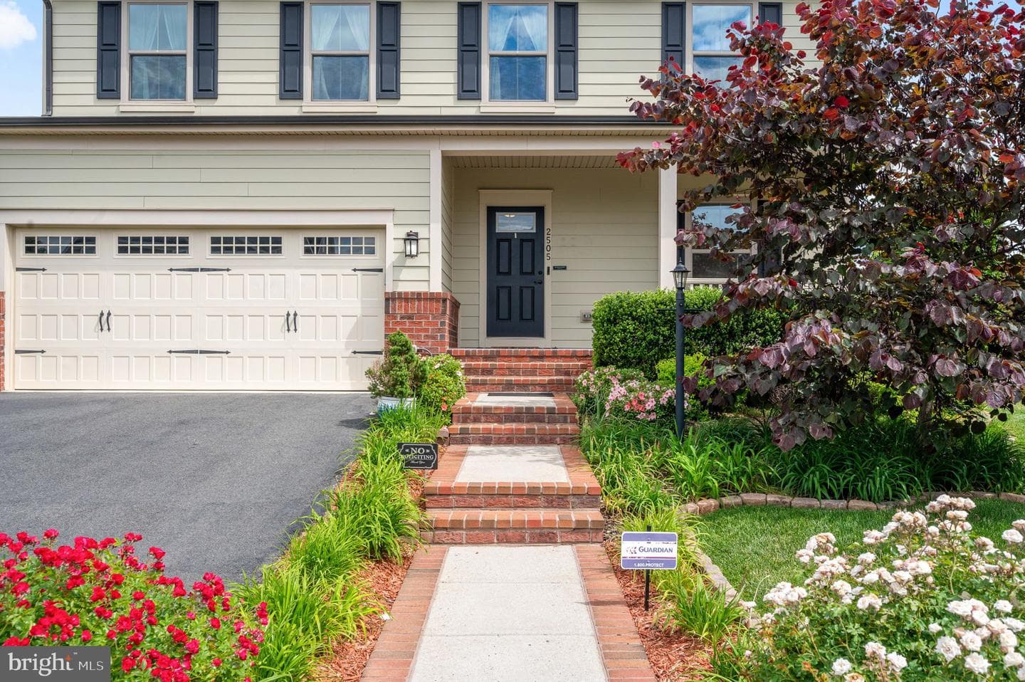 2505 Sweet Clover Court photo 3