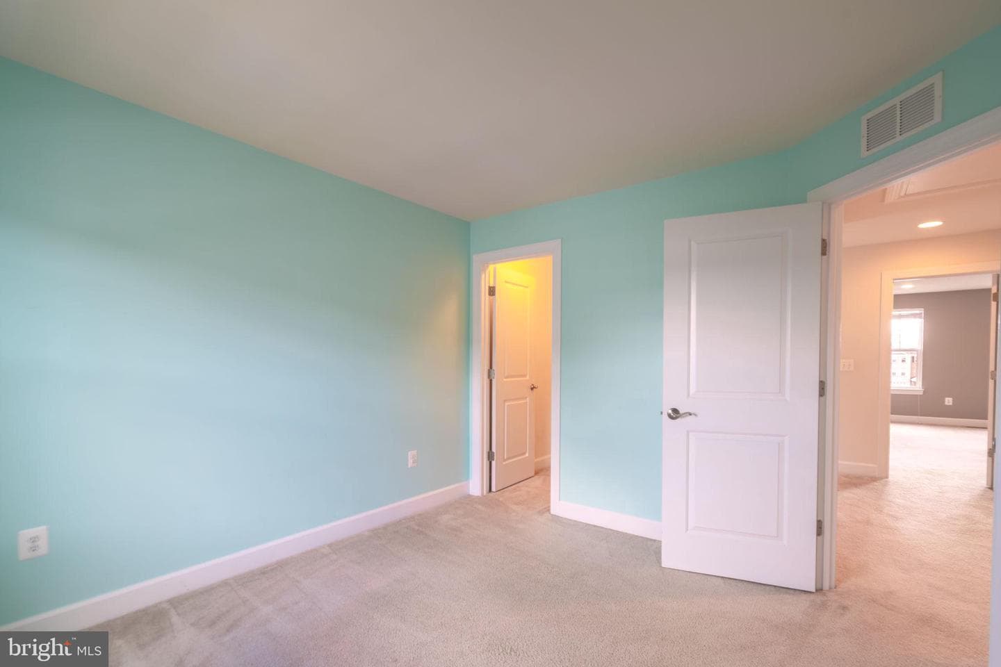 10739 Caledonia Meadow Drive photo 47