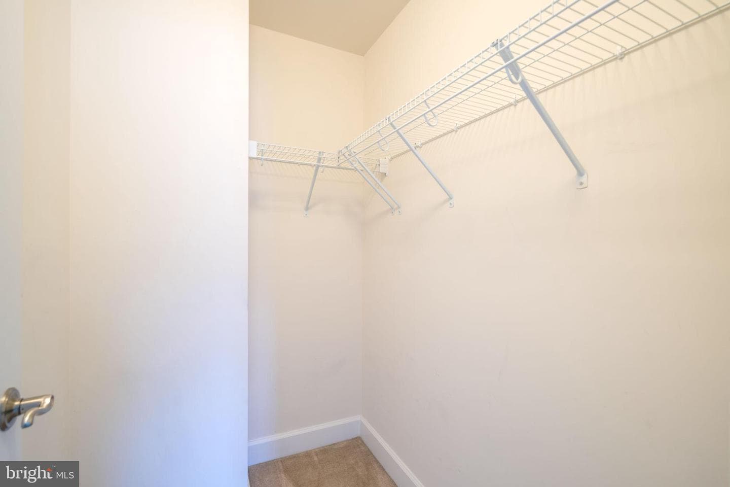 10739 Caledonia Meadow Drive photo 49