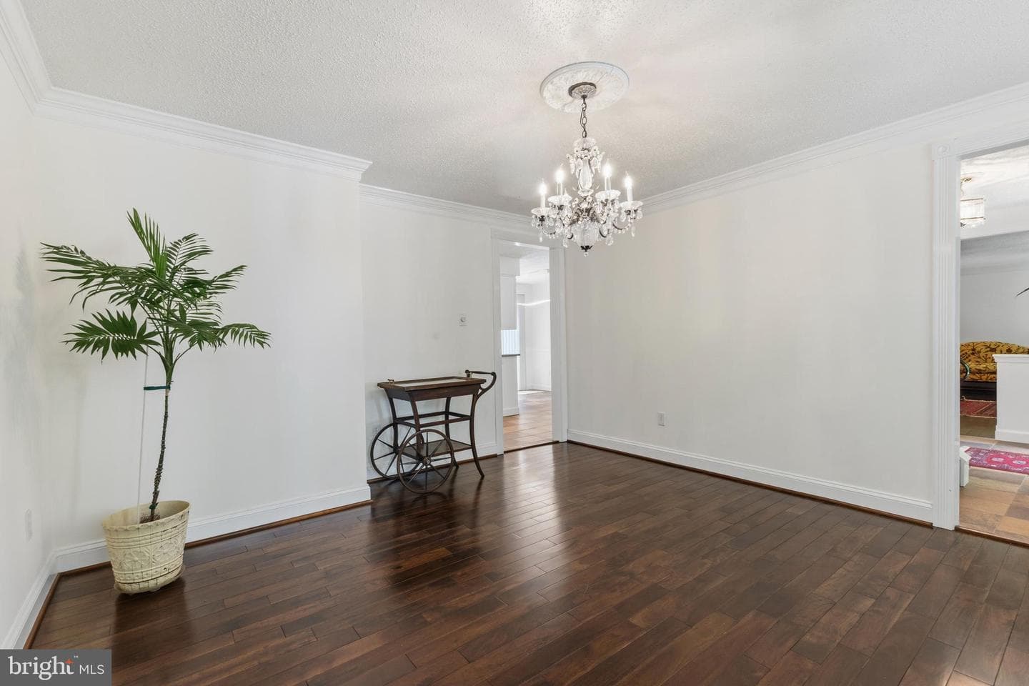 8181 Erika Drive photo 16
