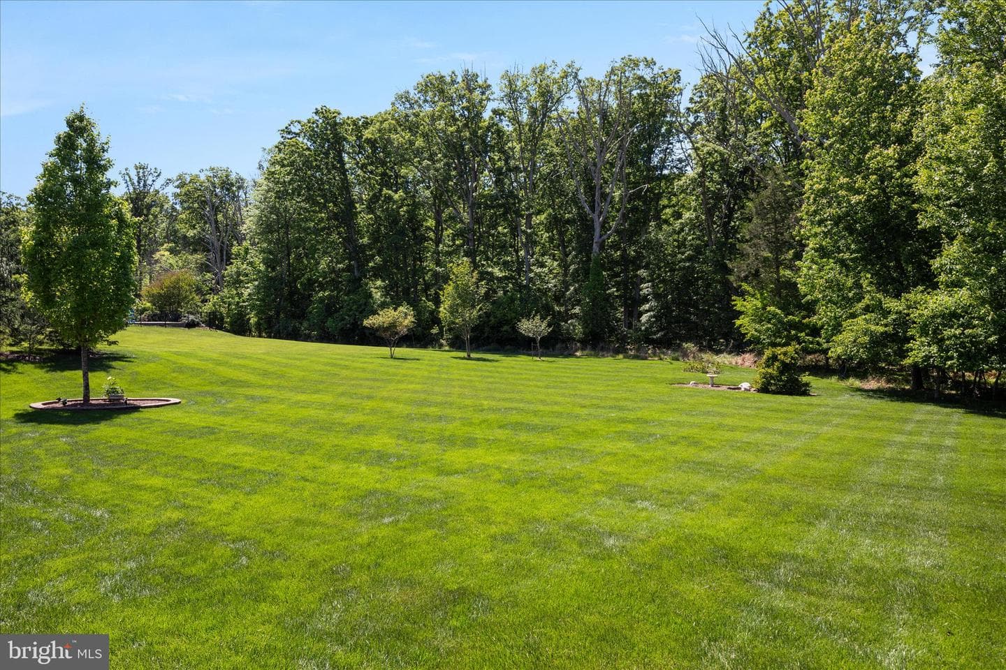 5214 Bonnie Brae Farm Drive photo 83