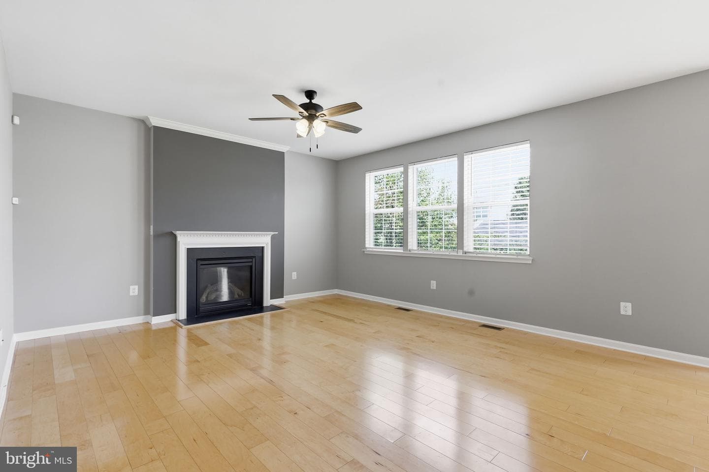 14246 Ladderbacked Drive photo 12