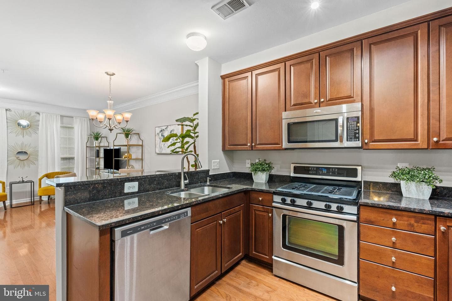 15324 Kensington Park Drive photo 8