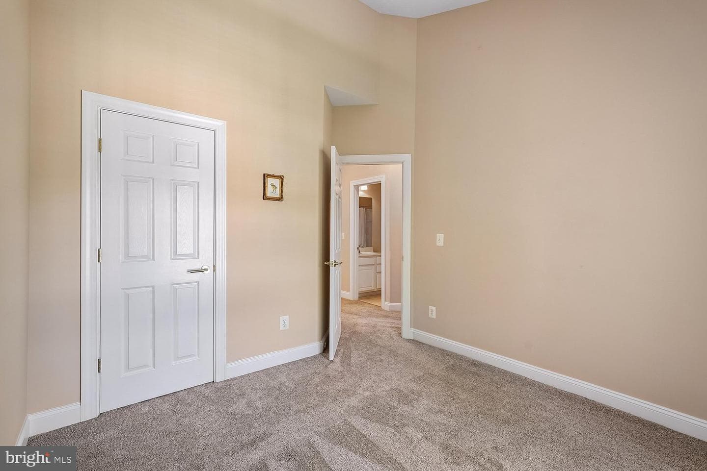 6898 Witton Circle photo 38