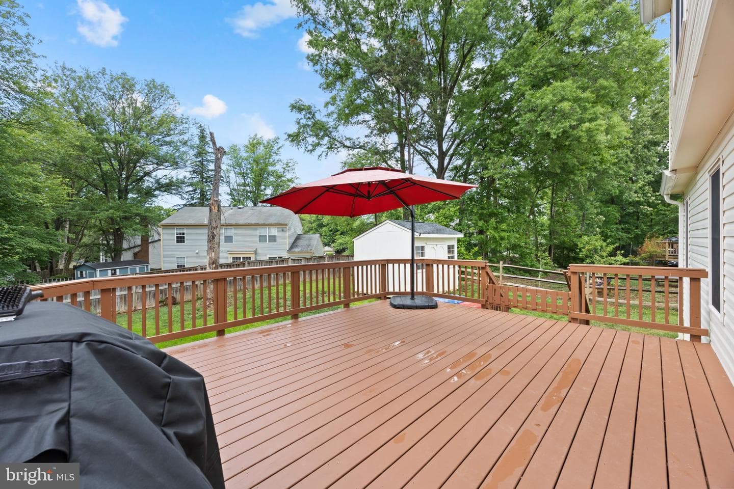 10890 Pennycress Street photo 39