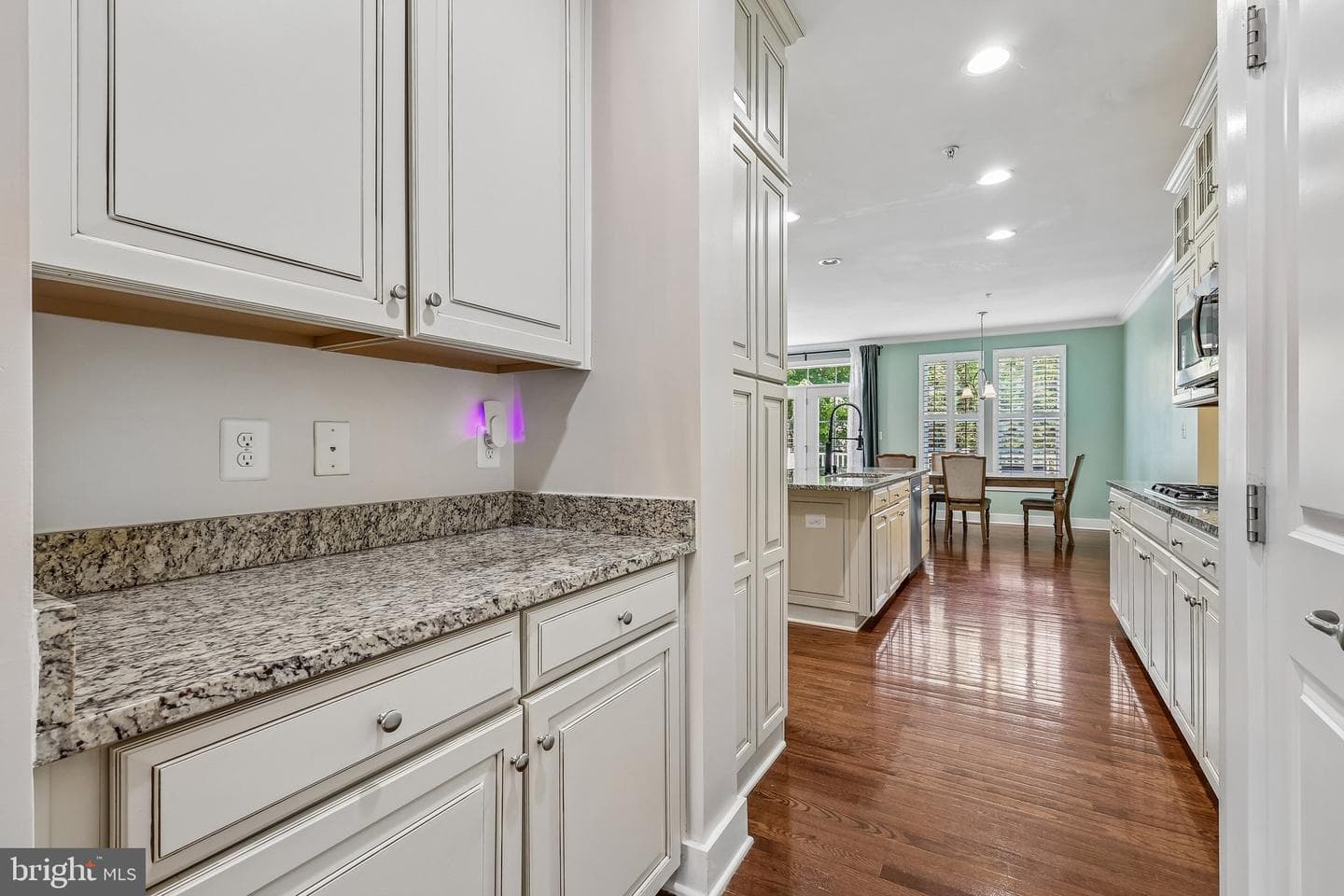 17141 Gullwing Drive photo 7