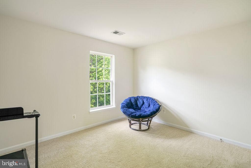 12113 Sierra Sunset Lane photo 33