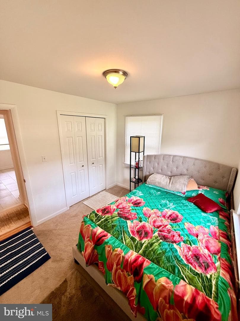 11713 Bradley Forest Road photo 16