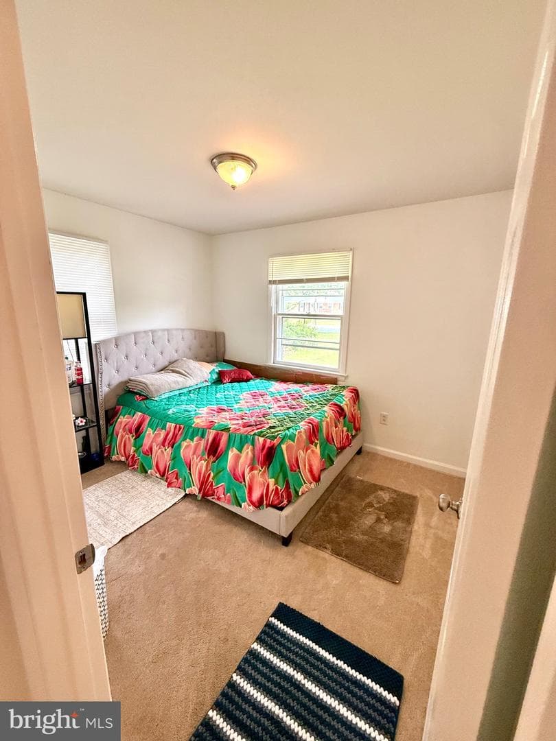 11713 Bradley Forest Road photo 18