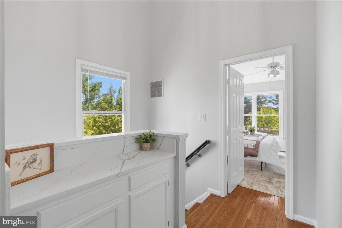 7603 Monitor Court photo 29