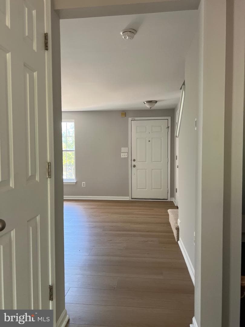 16873 Toms River Loop photo 21