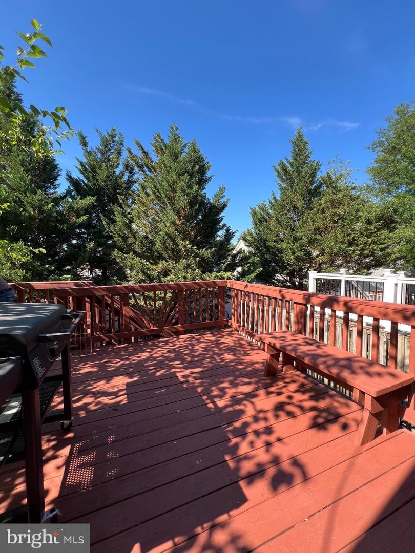 16873 Toms River Loop photo 23