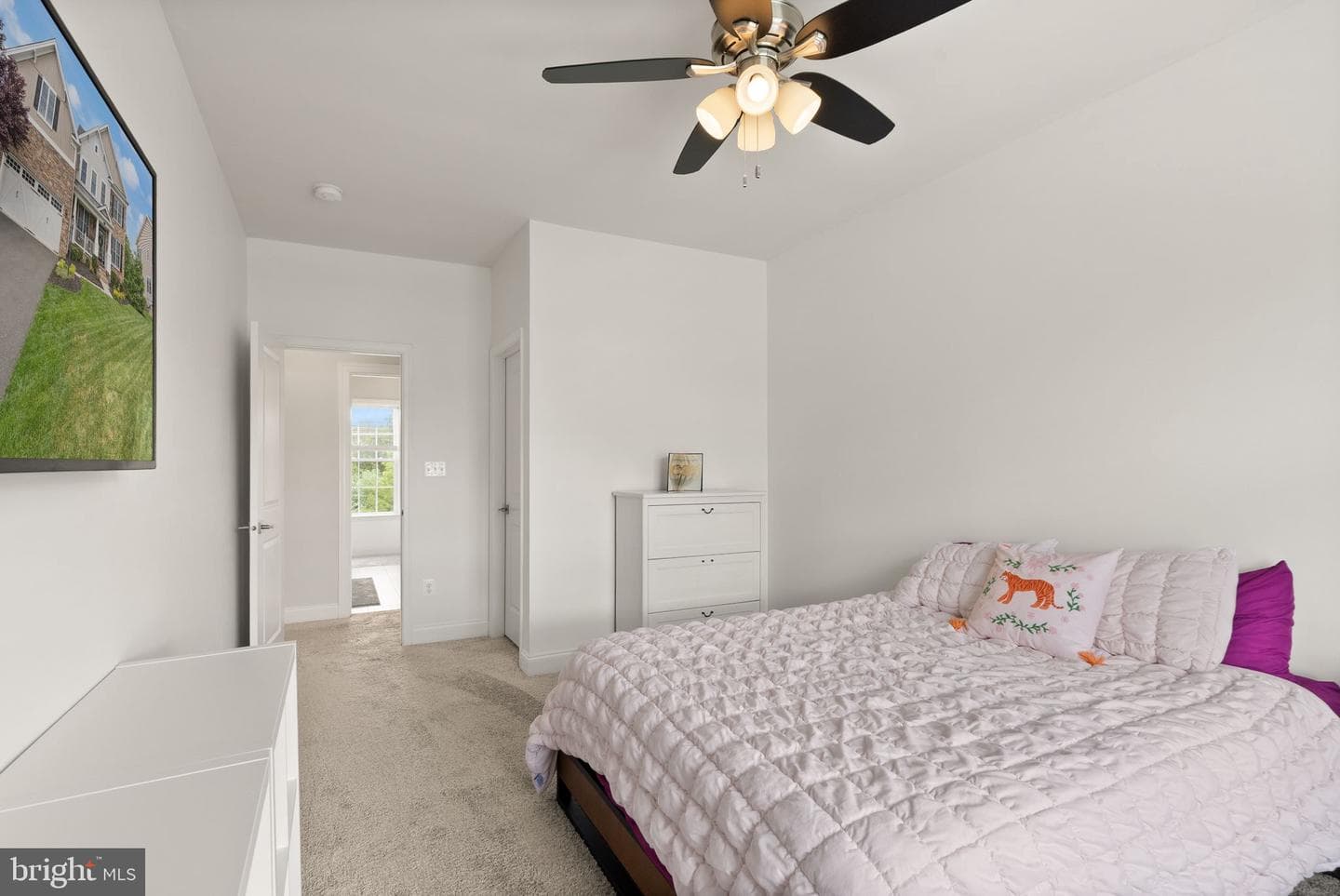 4549 Geyser Creek Loop photo 40