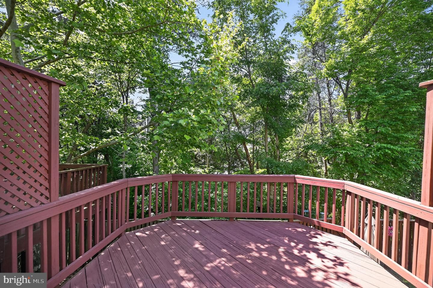 13453 Colesmire Gate Way photo 23
