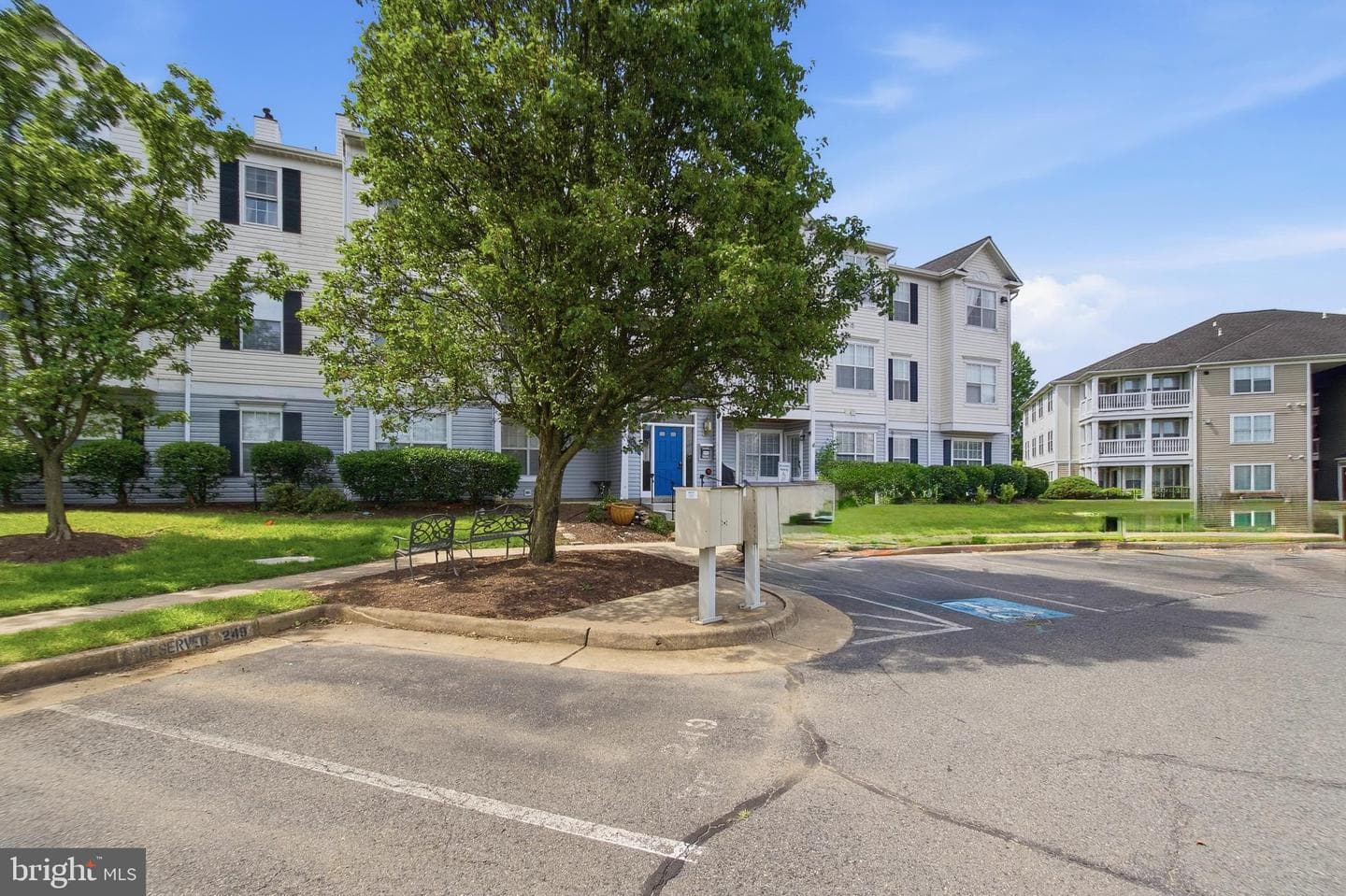 8058 Lisle Drive #104 photo 3