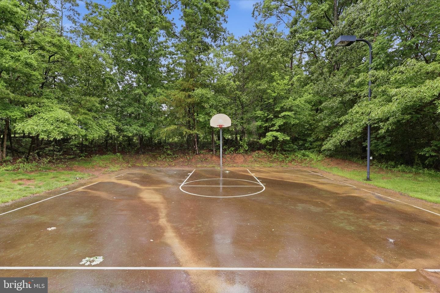 8277 Roxborough Loop photo 70
