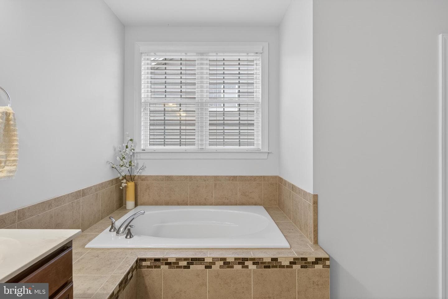15709 Tanning House Place photo 26
