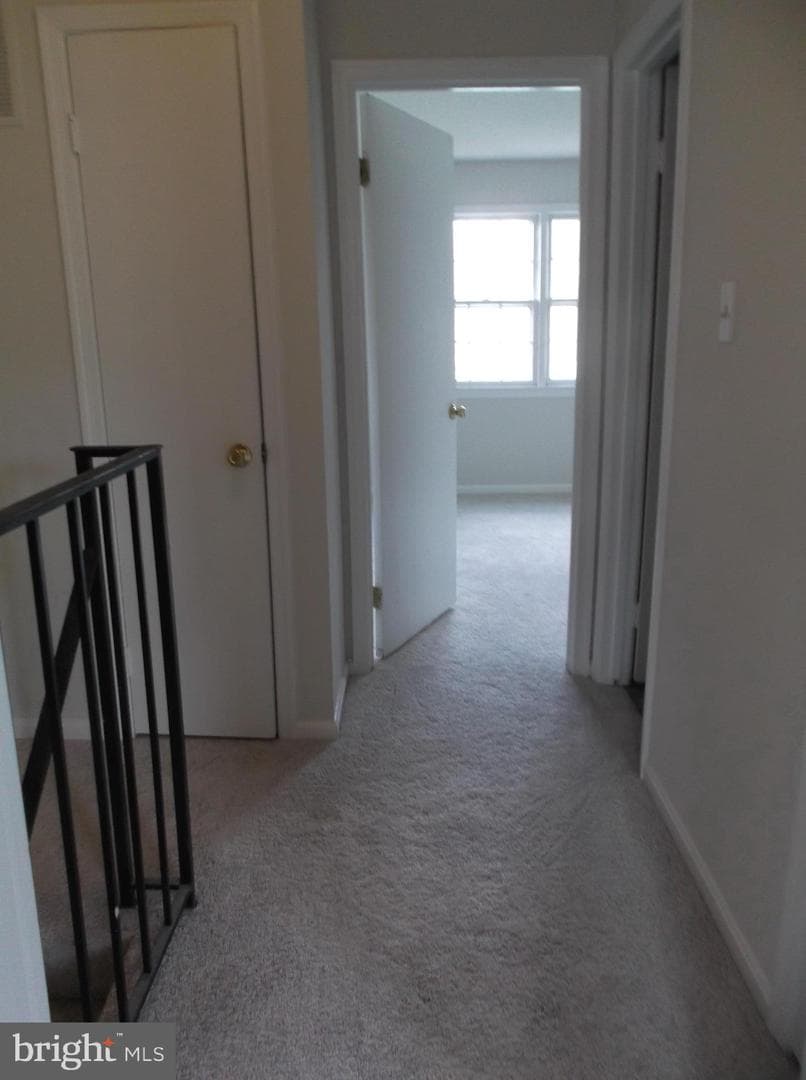 4624 Whitaker Place photo 15