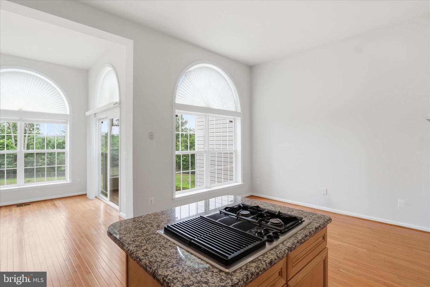 15666 William Bayliss Ct photo 15