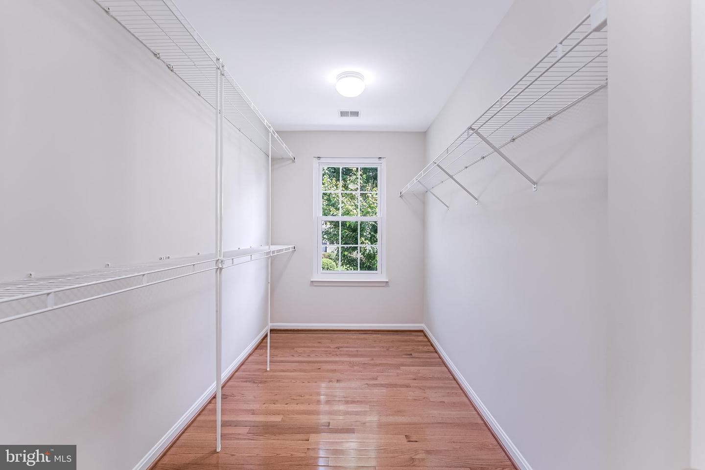 14916 Slippery Elm Court photo 14