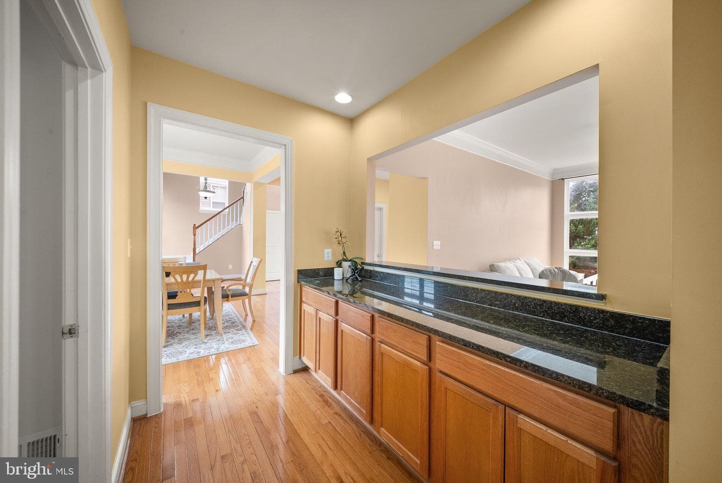12429 Calypso Falls Way photo 13