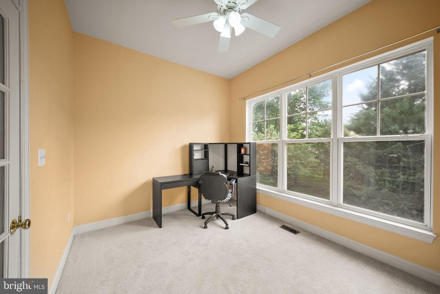 12429 Calypso Falls Way photo 22