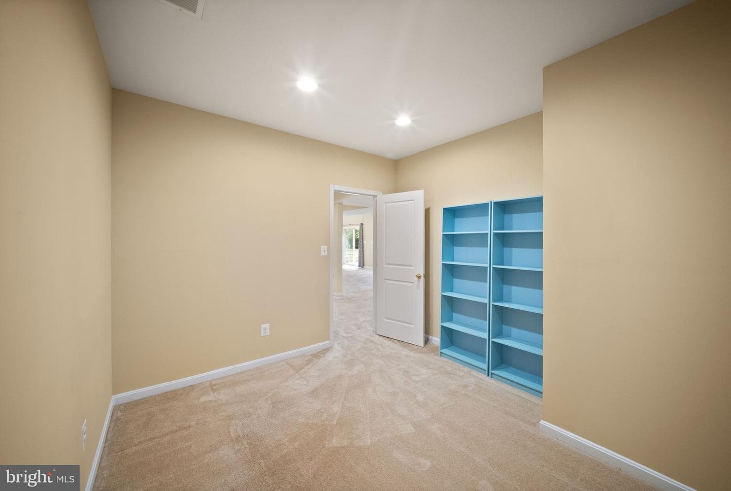 12429 Calypso Falls Way photo 48