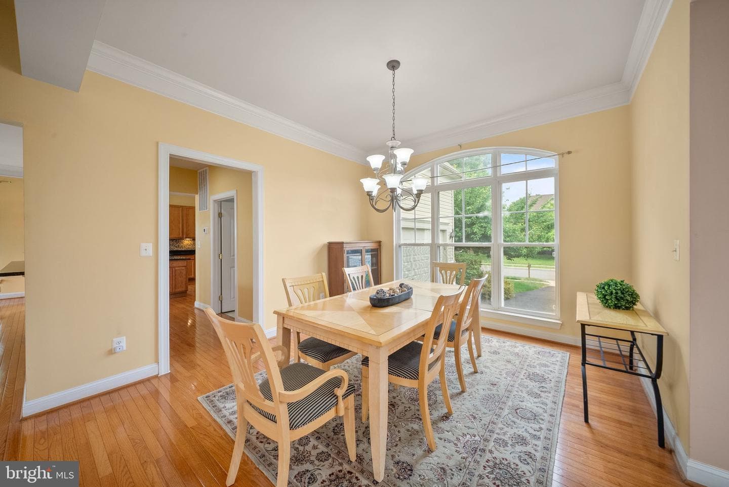 12429 Calypso Falls Way photo 8
