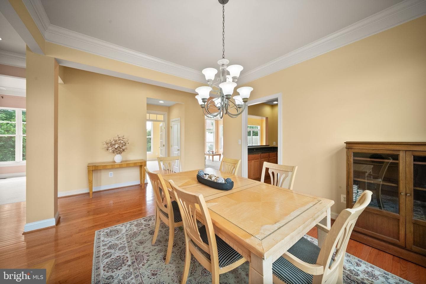12429 Calypso Falls Way photo 9