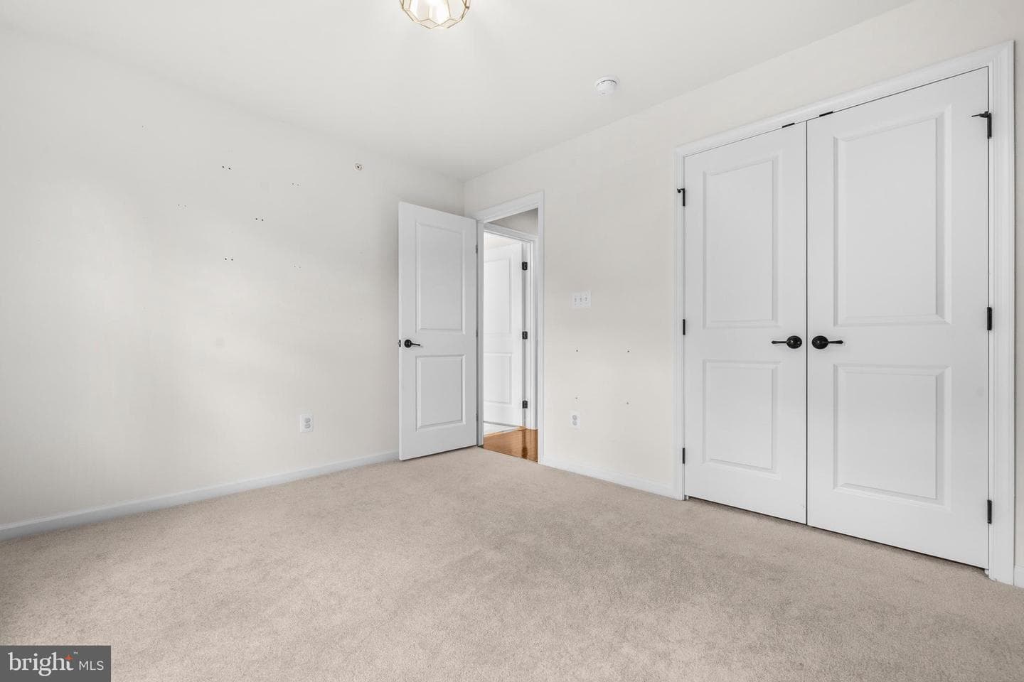 2341 Sweet Pepperbrush Loop photo 21