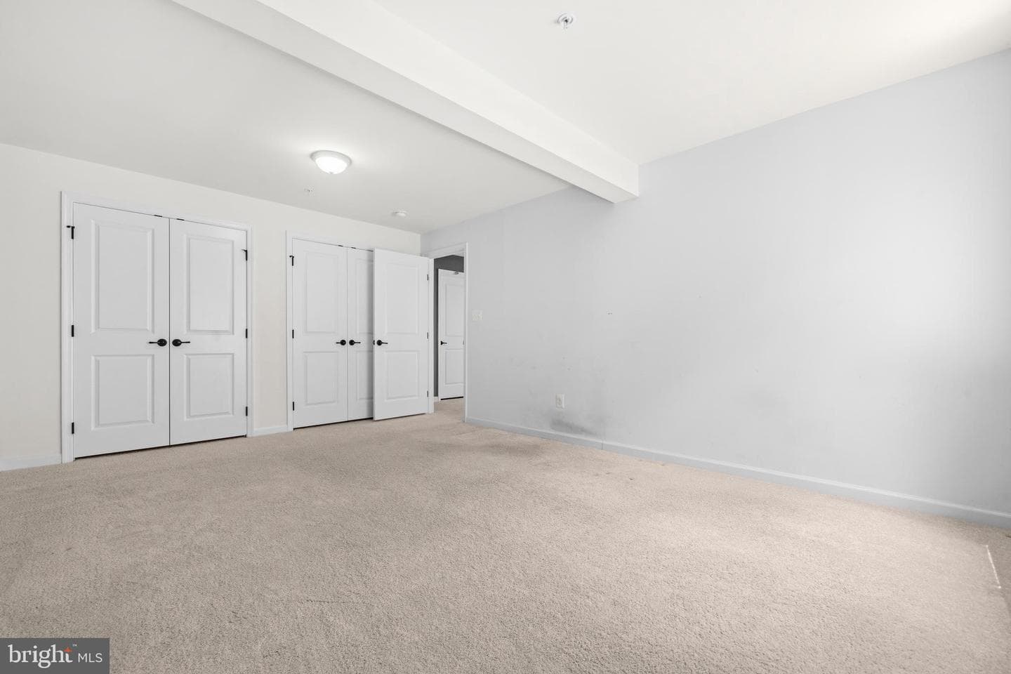 2341 Sweet Pepperbrush Loop photo 39