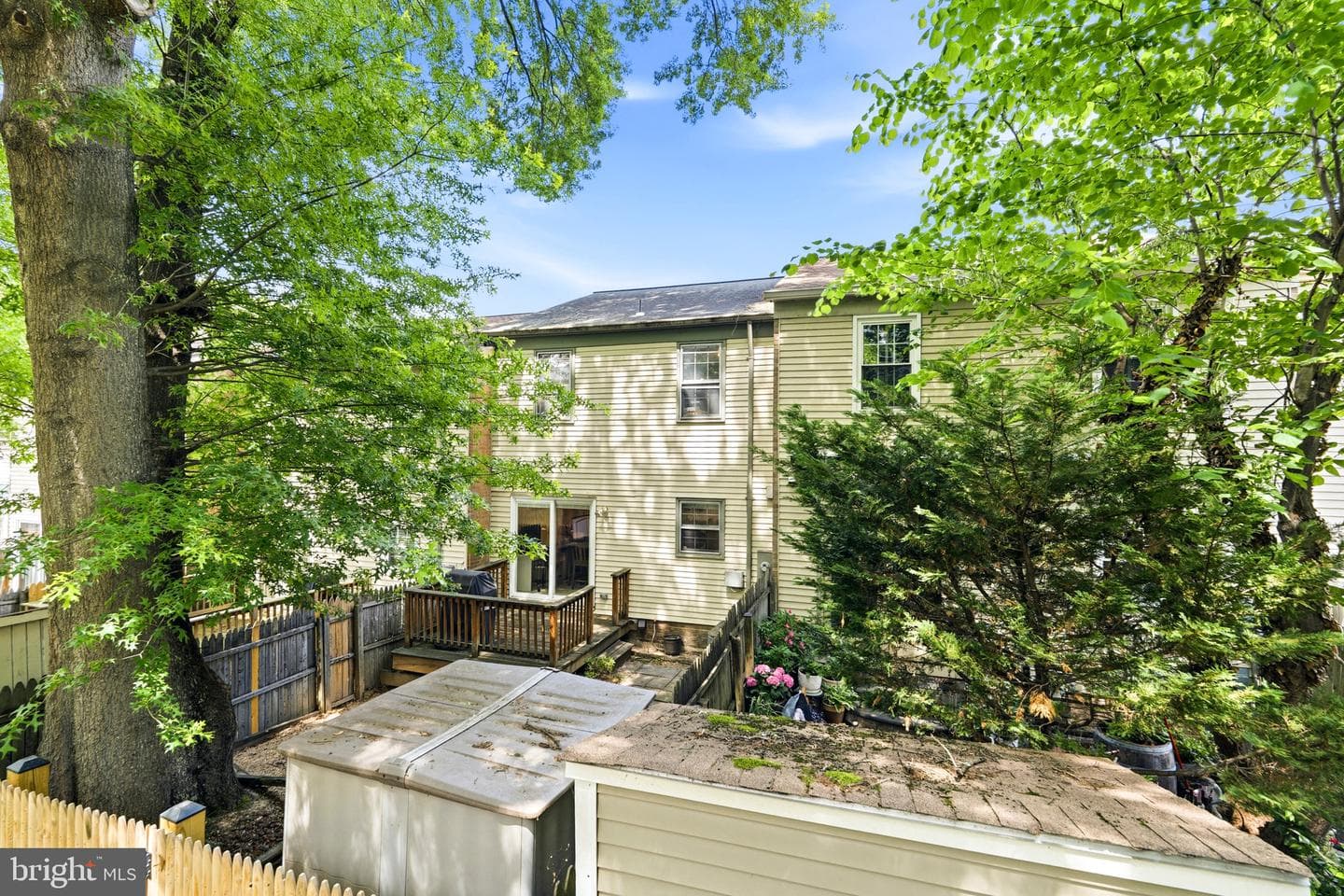 12236 Cinnamon Street photo 36