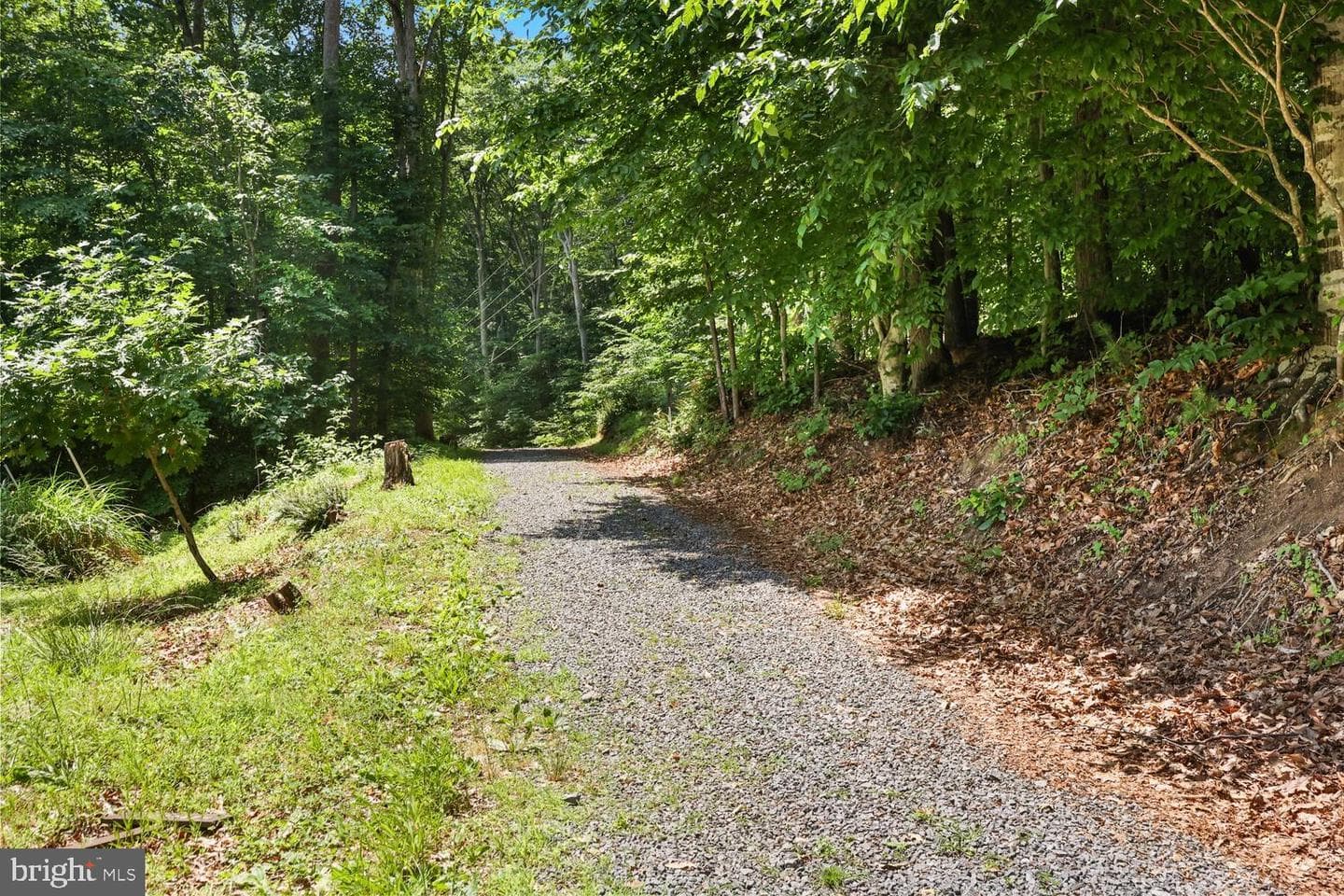 6270 Occoquan Forest Drive photo 48