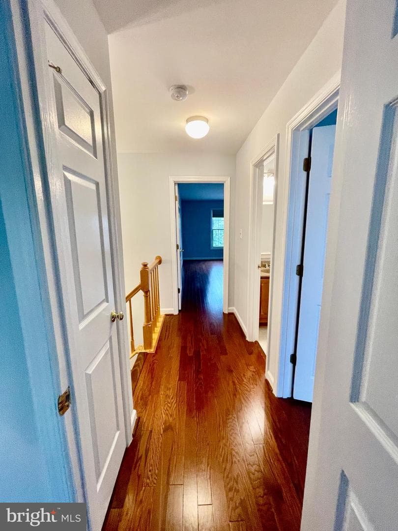 4109 Plymbridge Lane photo 36