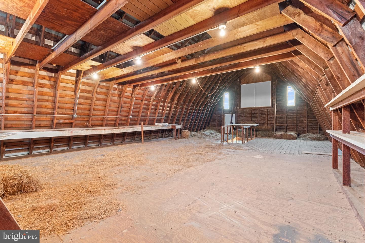 11605 Parkgate Drive photo 65