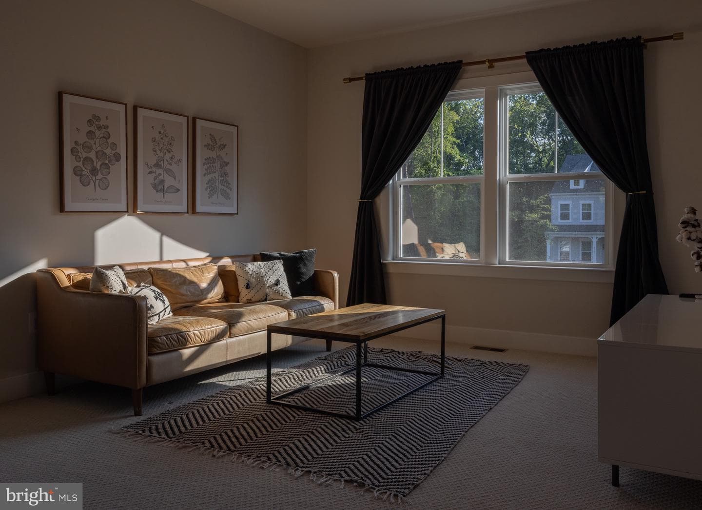 8708 Classic Lakes Way photo 101