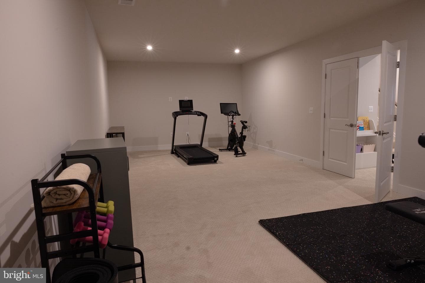 8708 Classic Lakes Way photo 116